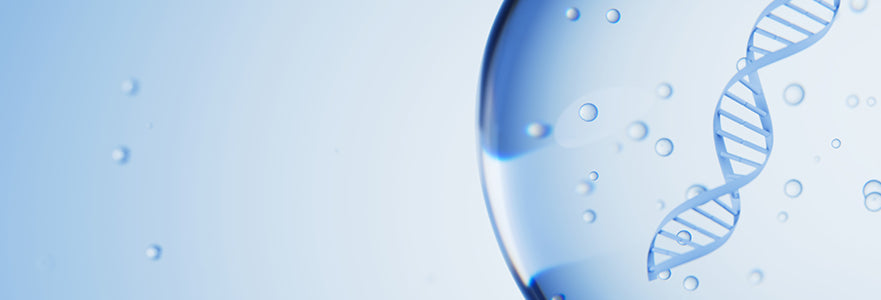 mobile-search-banner.jpg